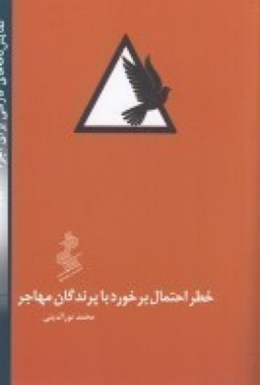 تصویر  خطر احتمال برخورد با پرندگان مهاجر